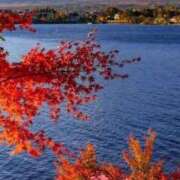 ヒメ日記 2025/10/03 18:32 投稿 はる 横浜おかあさん