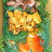 ヒメ日記 2025/10/04 20:55 投稿 はる 横浜おかあさん