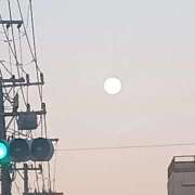 ヒメ日記 2025/10/08 09:25 投稿 はる 横浜おかあさん