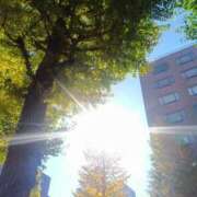 ヒメ日記 2025/11/20 14:35 投稿 はる 横浜おかあさん