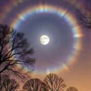 ヒメ日記 2025/11/20 18:31 投稿 はる 横浜おかあさん