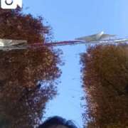 ヒメ日記 2025/12/03 13:56 投稿 はる 横浜おかあさん