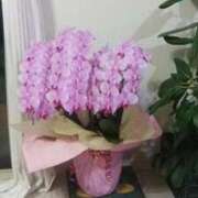 はる 本日はお得な日 横浜おかあさん