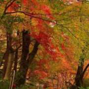 はる こんにちは　(^O^) 横浜おかあさん