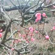 ヒメ日記 2026/01/16 11:35 投稿 はる 横浜おかあさん