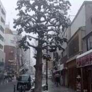 ヒメ日記 2026/02/08 11:25 投稿 はる 横浜おかあさん