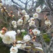 ヒメ日記 2026/02/09 11:15 投稿 はる 横浜おかあさん