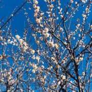 ヒメ日記 2026/02/15 10:52 投稿 はる 横浜おかあさん