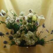 ヒメ日記 2026/02/17 12:55 投稿 はる 横浜おかあさん