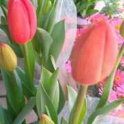 ヒメ日記 2026/02/19 13:05 投稿 はる 横浜おかあさん