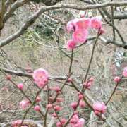 ヒメ日記 2026/02/23 23:05 投稿 はる 横浜おかあさん