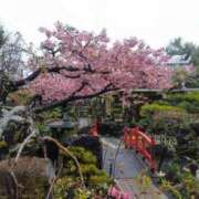 ヒメ日記 2026/03/01 09:46 投稿 はる 横浜おかあさん