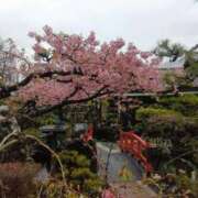 ヒメ日記 2026/03/10 14:05 投稿 はる 横浜おかあさん