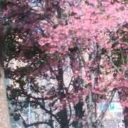 ヒメ日記 2026/03/13 15:35 投稿 はる 横浜おかあさん