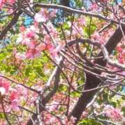 ヒメ日記 2026/03/14 18:05 投稿 はる 横浜おかあさん