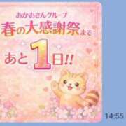 ヒメ日記 2026/03/19 07:15 投稿 はる 横浜おかあさん
