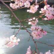 ヒメ日記 2026/03/21 15:45 投稿 はる 横浜おかあさん