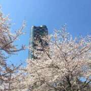 ヒメ日記 2026/03/27 19:05 投稿 はる 横浜おかあさん