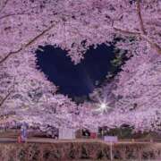 ヒメ日記 2026/03/30 11:55 投稿 はる 横浜おかあさん