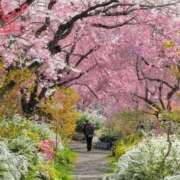 ヒメ日記 2026/04/13 14:16 投稿 はる 横浜おかあさん