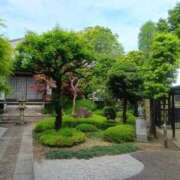 ヒメ日記 2026/04/16 17:45 投稿 はる 横浜おかあさん