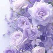 ヒメ日記 2024/12/27 14:33 投稿 しずか 性腺熟女100％（デリヘル市場）