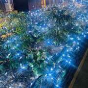 ヒメ日記 2025/01/14 18:06 投稿 しずか 性腺熟女100％（デリヘル市場）