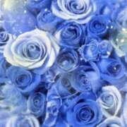 ヒメ日記 2025/02/14 17:21 投稿 しずか 性腺熟女100％（デリヘル市場）