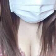 ヒメ日記 2025/03/29 06:45 投稿 あむ 茨城神栖ちゃんこ