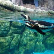 ヒメ日記 2025/07/28 12:07 投稿 姫奈乃-ひなの 熟女10000円デリヘル 川崎