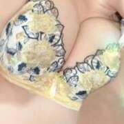 ヒメ日記 2026/02/17 00:07 投稿 かなた ワンダーホール24in幕張