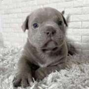 ヒメ日記 2024/12/20 13:25 投稿 くみ 中洲秘密倶楽部