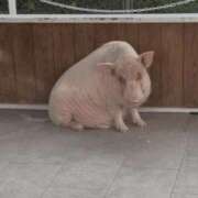 ヒメ日記 2025/07/29 13:35 投稿 くみ 中洲秘密倶楽部