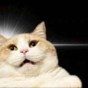 ヒメ日記 2025/11/30 11:20 投稿 くみ 中洲秘密倶楽部