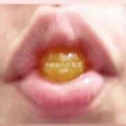 ヒメ日記 2025/12/01 09:05 投稿 くみ 中洲秘密倶楽部