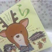 ヒメ日記 2024/12/17 18:42 投稿 ありさ 神田はっち