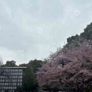 ヒメ日記 2025/03/26 18:47 投稿 ありさ 神田はっち