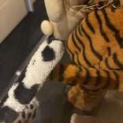 ヒメ日記 2025/11/01 01:52 投稿 ありさ 神田はっち