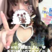 ヒメ日記 2026/06/08 21:31 投稿 ありさ 神田はっち