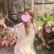 ヒメ日記 2025/02/25 12:48 投稿 まい※圧倒的No.1看板嬢再臨 Minette ～ミネット～ 高崎店