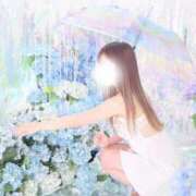 ヒメ日記 2025/04/22 11:31 投稿 まい※圧倒的No.1看板嬢再臨 Minette ～ミネット～ 高崎店