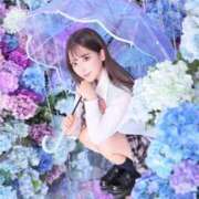 ヒメ日記 2026/06/07 20:08 投稿 まい※圧倒的No.1看板嬢再臨 Minette ～ミネット～ 高崎店