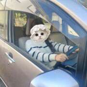 ヒメ日記 2025/02/20 13:36 投稿 月島ともか 汝々艶 梅田店