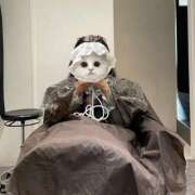 ヒメ日記 2025/03/28 11:45 投稿 月島ともか 汝々艶 梅田店