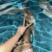 ヒメ日記 2025/08/16 23:36 投稿 RUNA さくらん東京