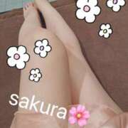 ヒメ日記 2024/12/10 18:28 投稿 さくら フォーシーズン