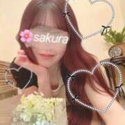 ヒメ日記 2025/06/14 19:18 投稿 さくら フォーシーズン