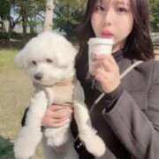 ヒメ日記 2025/03/31 05:30 投稿 鯨～この私にください～ GOOD-グッド-