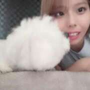 ヒメ日記 2025/09/01 06:26 投稿 鯨～この私にください～ GOOD-グッド-