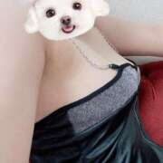 ヒメ日記 2025/04/01 11:59 投稿 りぃ 池袋ハートショコラ（シンデレラグループ）